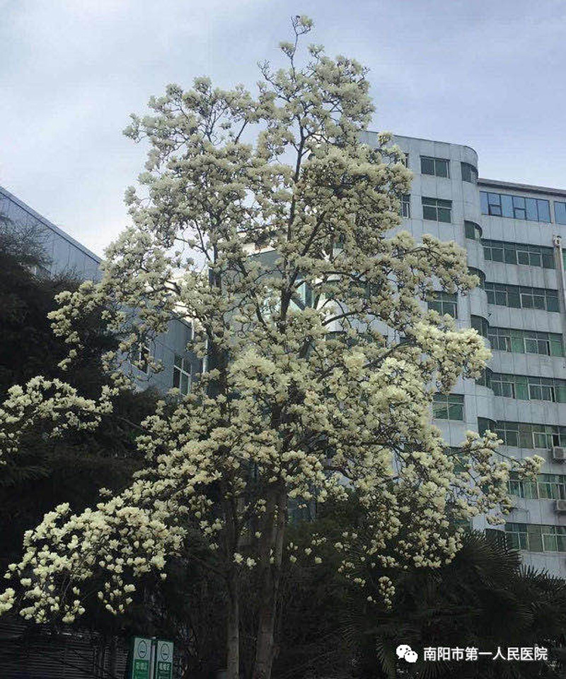 微信圖片_20201026161924.jpg